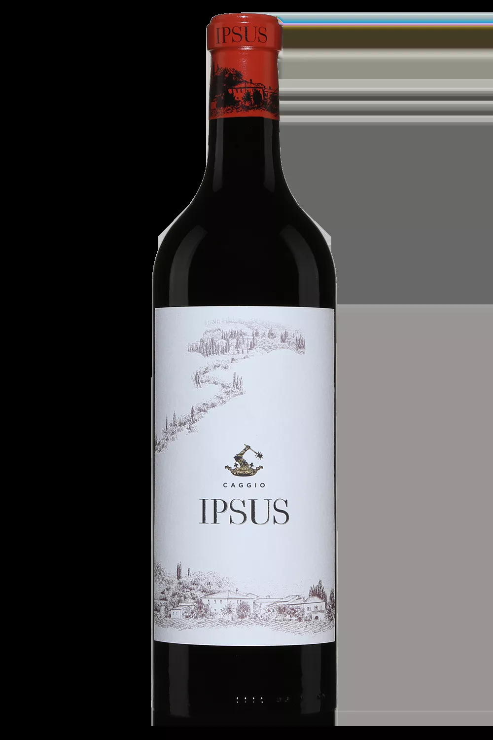 Il Caggio Ipsus Chianti Classico Gran Selezione