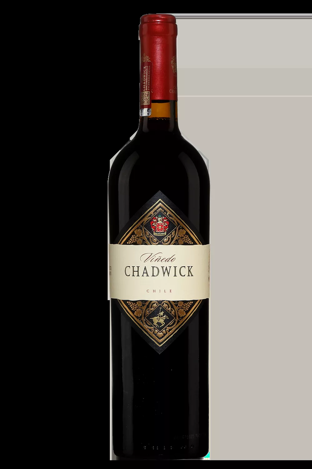 Vinedo Chadwick Valle del Maipo