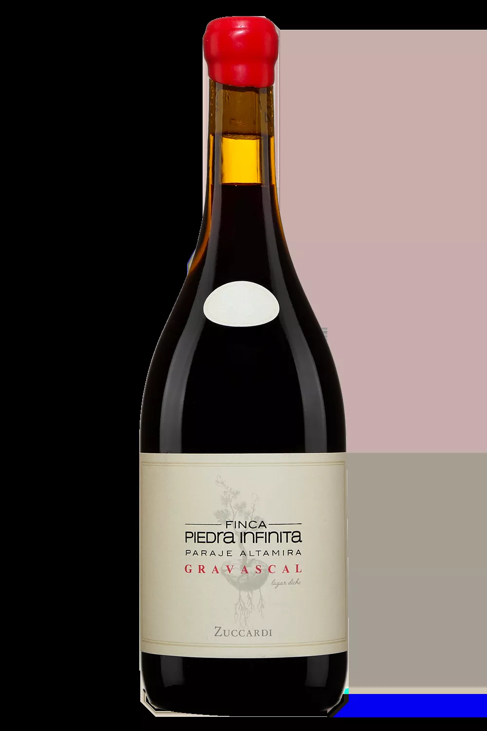 Zuccardi Finca Piedra Infinita Gravasca Mendoza